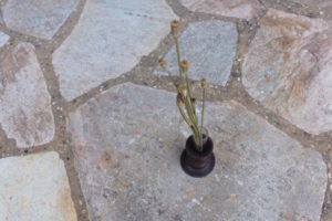 core flower vase ¥2,000